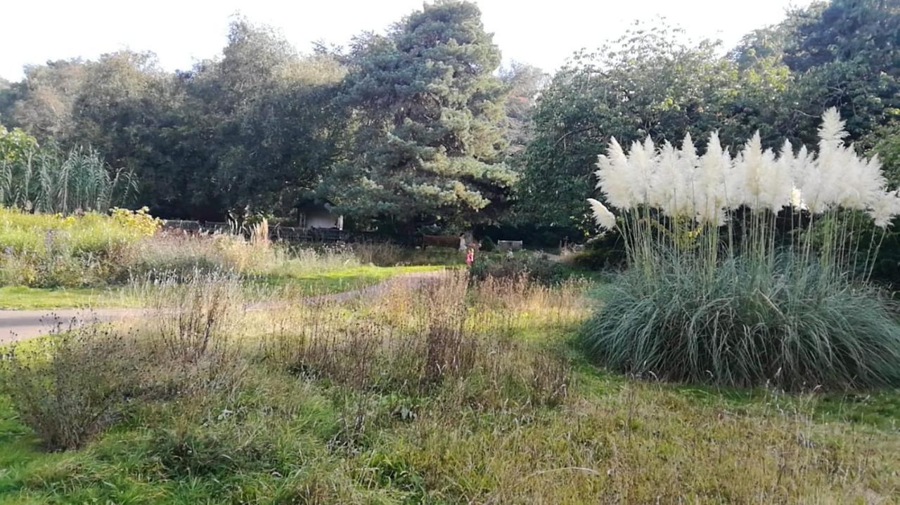 Many Worlds Meet - Eurostar, Wimbledon 30 Mins, Central London, Gatwick 15 Mins - Spacious, Sleeps Up To 16 Plus Cot - Free Wifi, Parking - Next To Lloyd Park, Great For Families, Walkers, Relocators - Ideal For Contractors Croydon Eksteriør billede