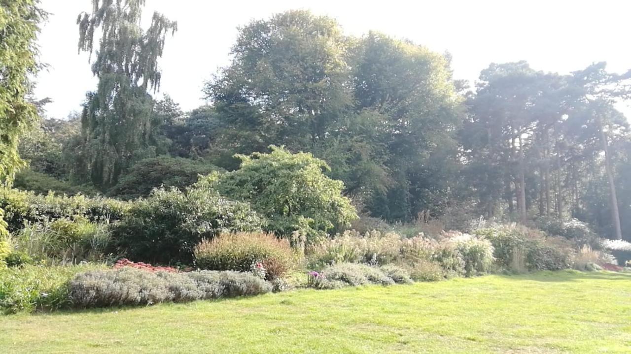 Many Worlds Meet - Eurostar, Wimbledon 30 Mins, Central London, Gatwick 15 Mins - Spacious, Sleeps Up To 16 Plus Cot - Free Wifi, Parking - Next To Lloyd Park, Great For Families, Walkers, Relocators - Ideal For Contractors Croydon Eksteriør billede